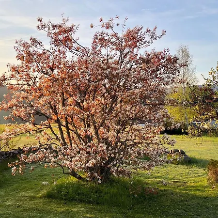 度假居 Bergfriede - 5 Schlafzimmer - Feldberg Im Schwarzwald